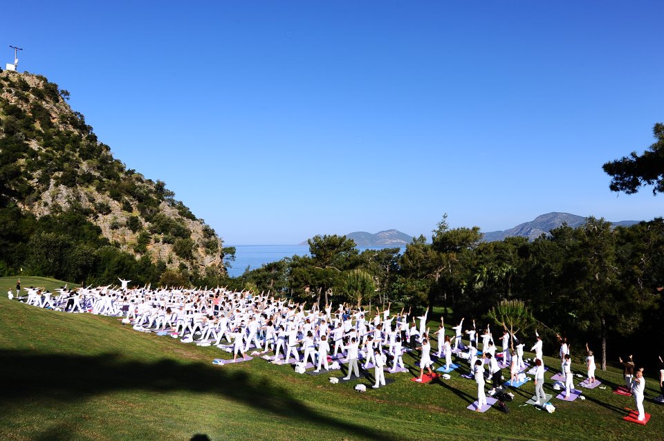 Monthly Yoga & Awareness Festivals cover image