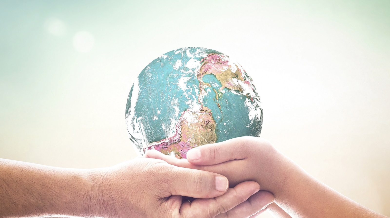 International Peace Project hero